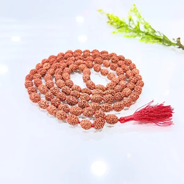 4 Mukhi Rudraksha Mala, Four Face Rudraksha Rosary, Beads 108, Size 12-14 mm