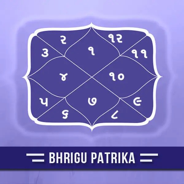 Bhrigu Patrika, Horoscope, Raj Yoga, Numerology, 30 Year Prediction