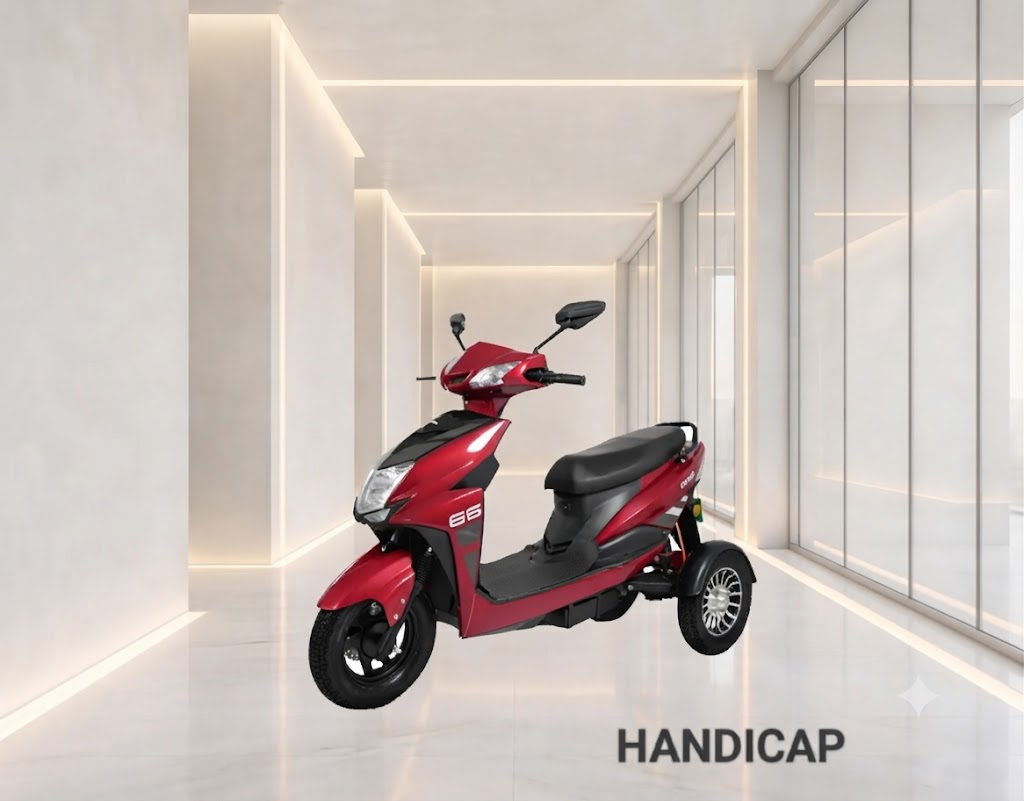 Handicap