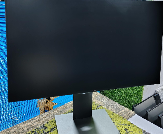 DELL MONITOR  P2419H