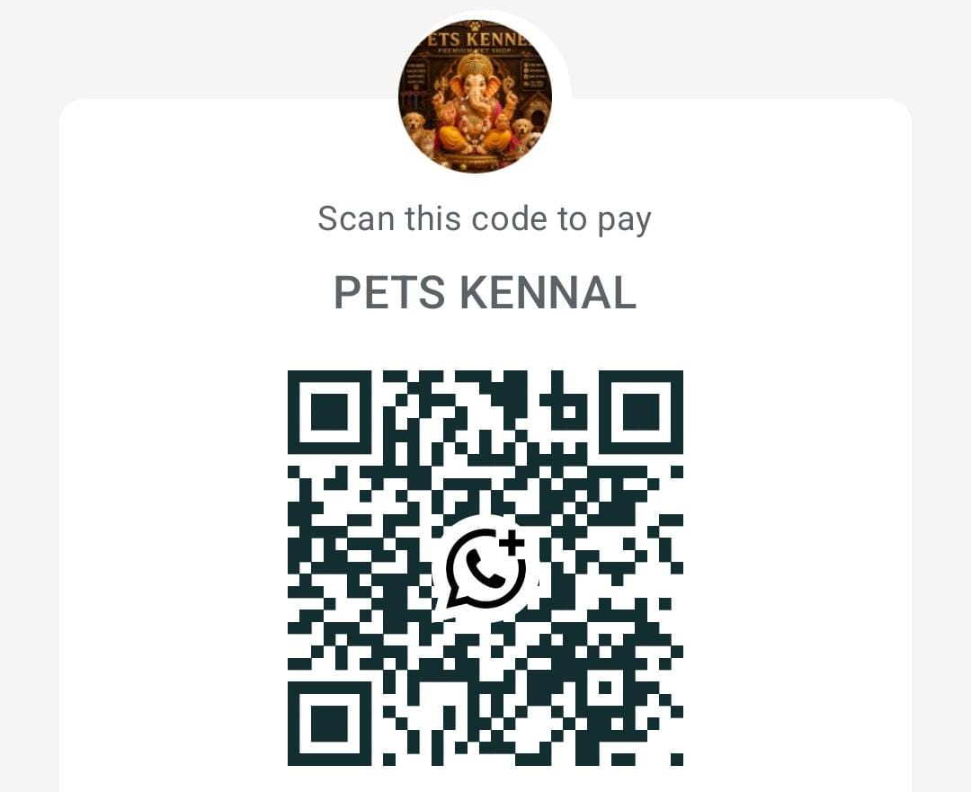 Payment QR code